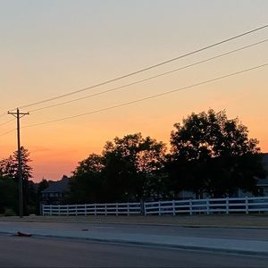 Meet your Posher, Ally